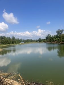 A tranquil landscape featuring a calm lake reflecting a clear blue sky adorned with fluffy white clouds.