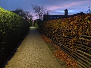 A narrow, illuminated pathway runs between tall hedges on both sides, leading into the distance under a twilight sky filled with soft purple and blue hues. 