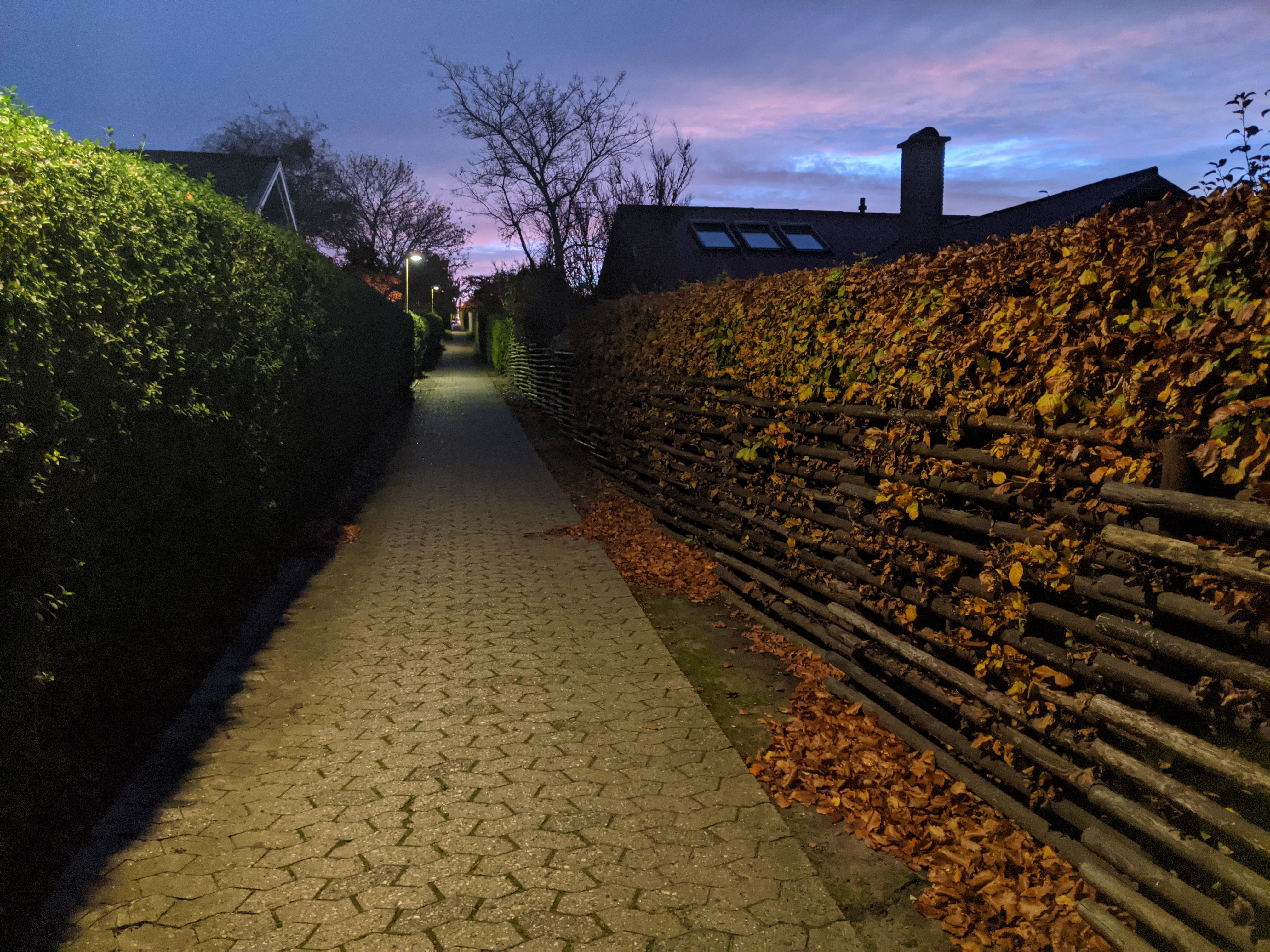 A narrow, illuminated pathway runs between tall hedges on both sides, leading into the distance under a twilight sky filled with soft purple and blue hues.