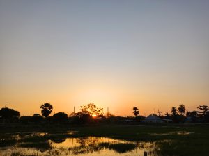 A serene sunset scene over a rural landscape, featuring a glowing orange sun dipping below the horizon.