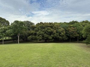 A serene lawn with lush grass leading to dense trees at Chiba Port Park.