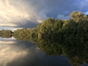 A picture of a lake surrounded by bushes and trees with their reflection on the lake, above that is a cloudy sky.
