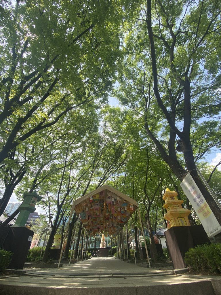 A pathway lined with lush green trees leads to a tent-like structure adorned with colorful decorations hanging from the ceiling.