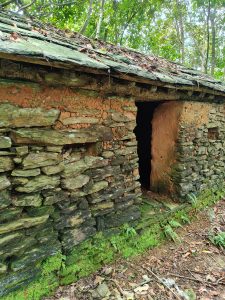 A small, weathered stone structure partially covered in moss and surrounded by greenery.
