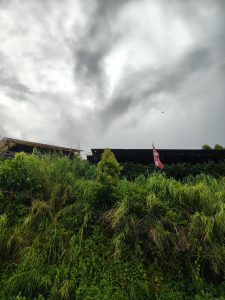 The flag of Nepal fluttering on the nature with green bushes and plants on the ground and above is the dark cloudy sky. A bird flying on the sky is visible.
