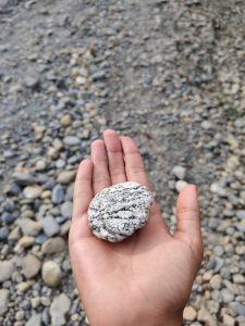 A person's hand holding a smooth, oval-shaped rock with a light gray and white mottled surface, against a background of various pebbles and stones.