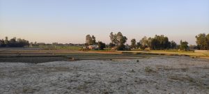 This image captures a peaceful rural landscape during the golden hour, likely in the late afternoon. In the foreground, there’s sandy or dry soil transitioning into flat, sectioned farmland. These plots appear to be either recently harvested or prepared for sowing.