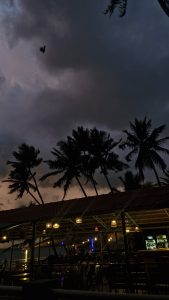 A cozy beach cafe in Goa in the afternoon, with glowing lights, swaying palm trees, and a moody sky, capturing the perfect seaside vibe.