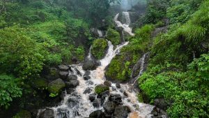 A cascading waterfall flows over dark rocks, surrounded by lush greenery and dense foliage