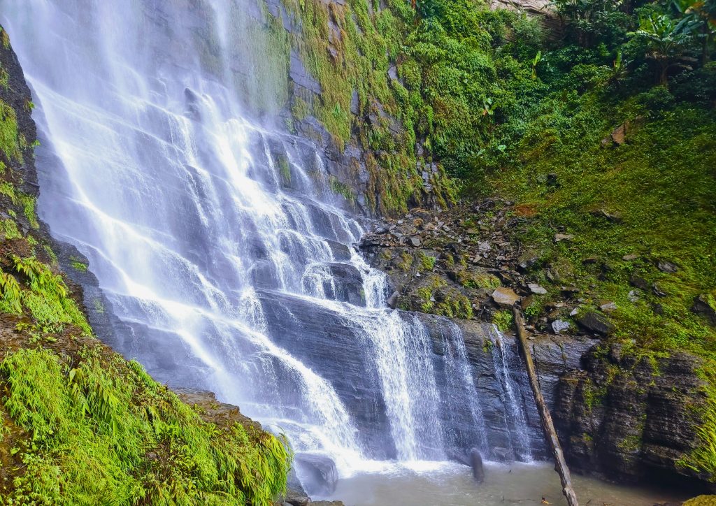 A stunning waterfall cascades down rocky cliffs, surrounded by lush greenery and vibrant plants