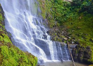A stunning waterfall cascades down rocky cliffs, surrounded by lush greenery and vibrant plants