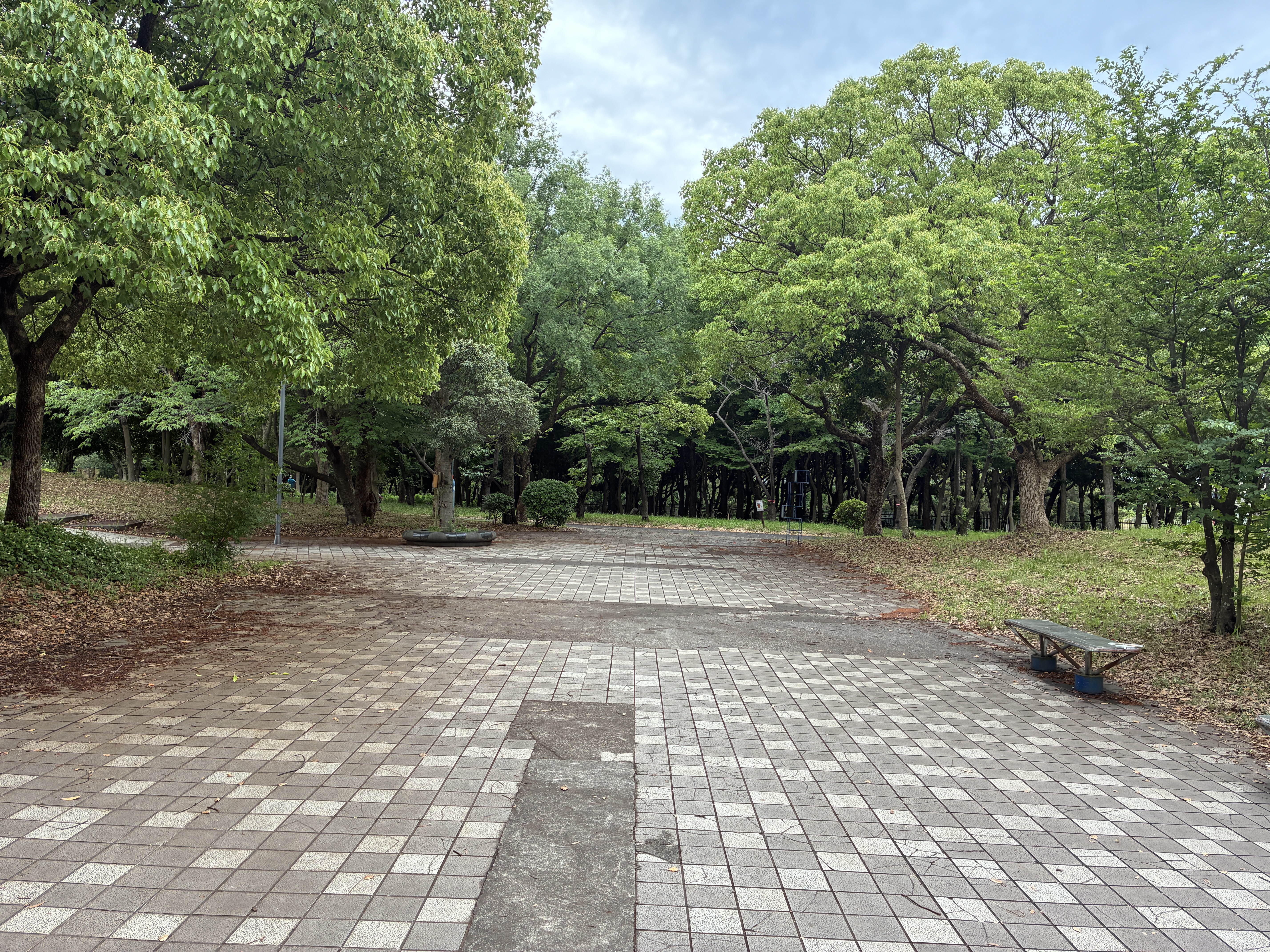 
A serene paved path into a wooded area, surrounded by lush trees at Chiba Port Park.