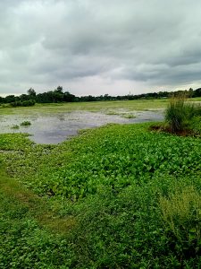 A beautiful evening Sky on the riverside
