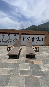 Two modern lounge chairs with gray cushions are positioned on a stone patio.