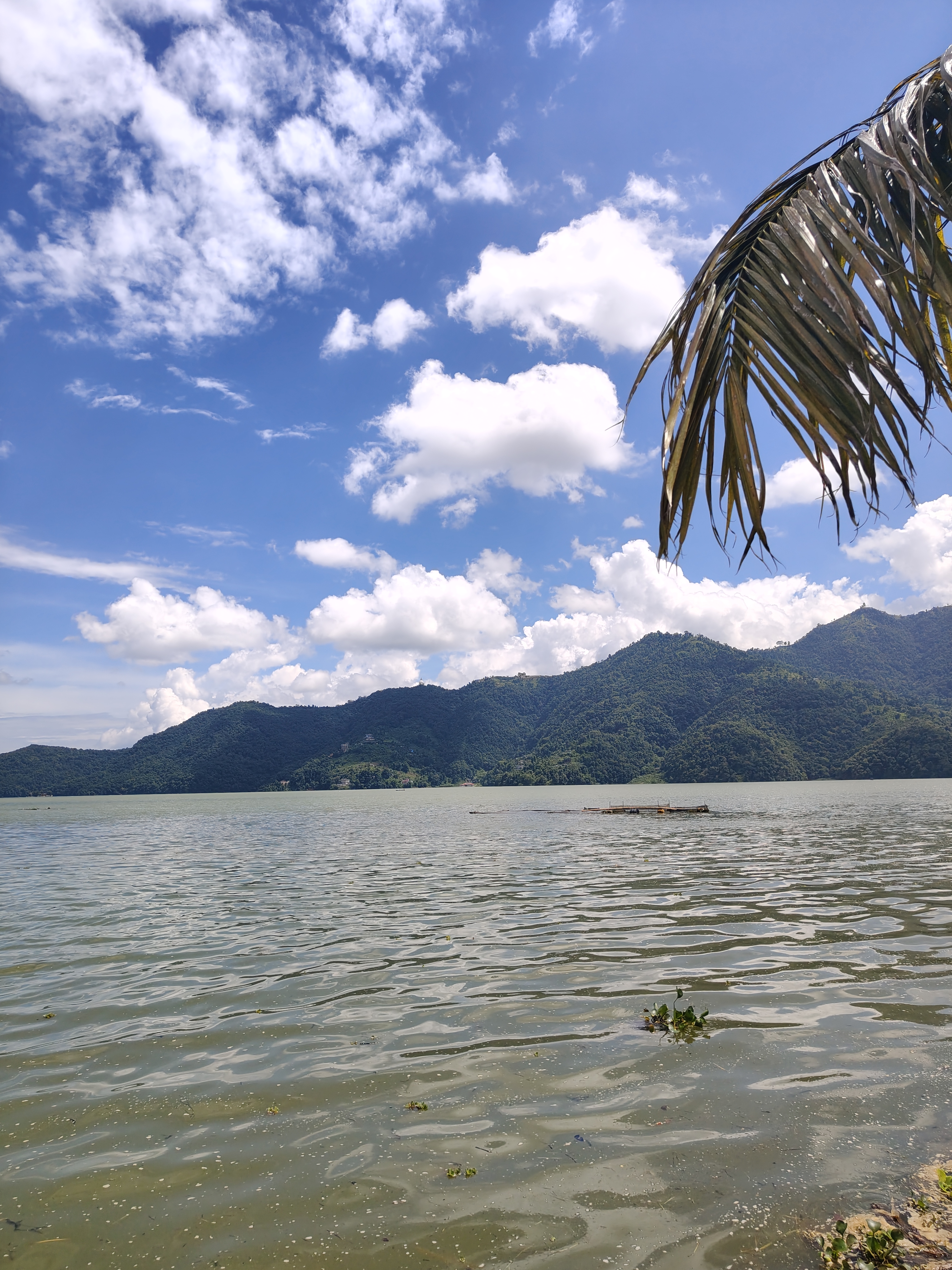 A serene landscape depicting Fewa Lake, a calm body of water reflecting the sky, bordered by lush green mountains in the background.