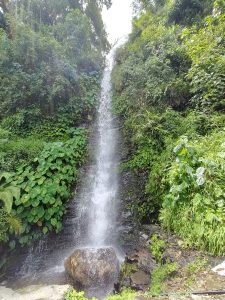 A picturesque waterfall cascading down a rocky surface, surrounded by lush green vegetation and tropical plants. 