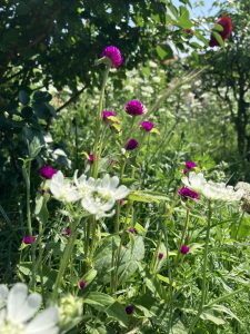 Flowers with Green Grasses