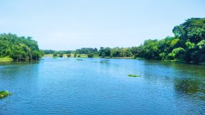 A tranquil river scene featuring calm blue waters reflecting the clear sky.