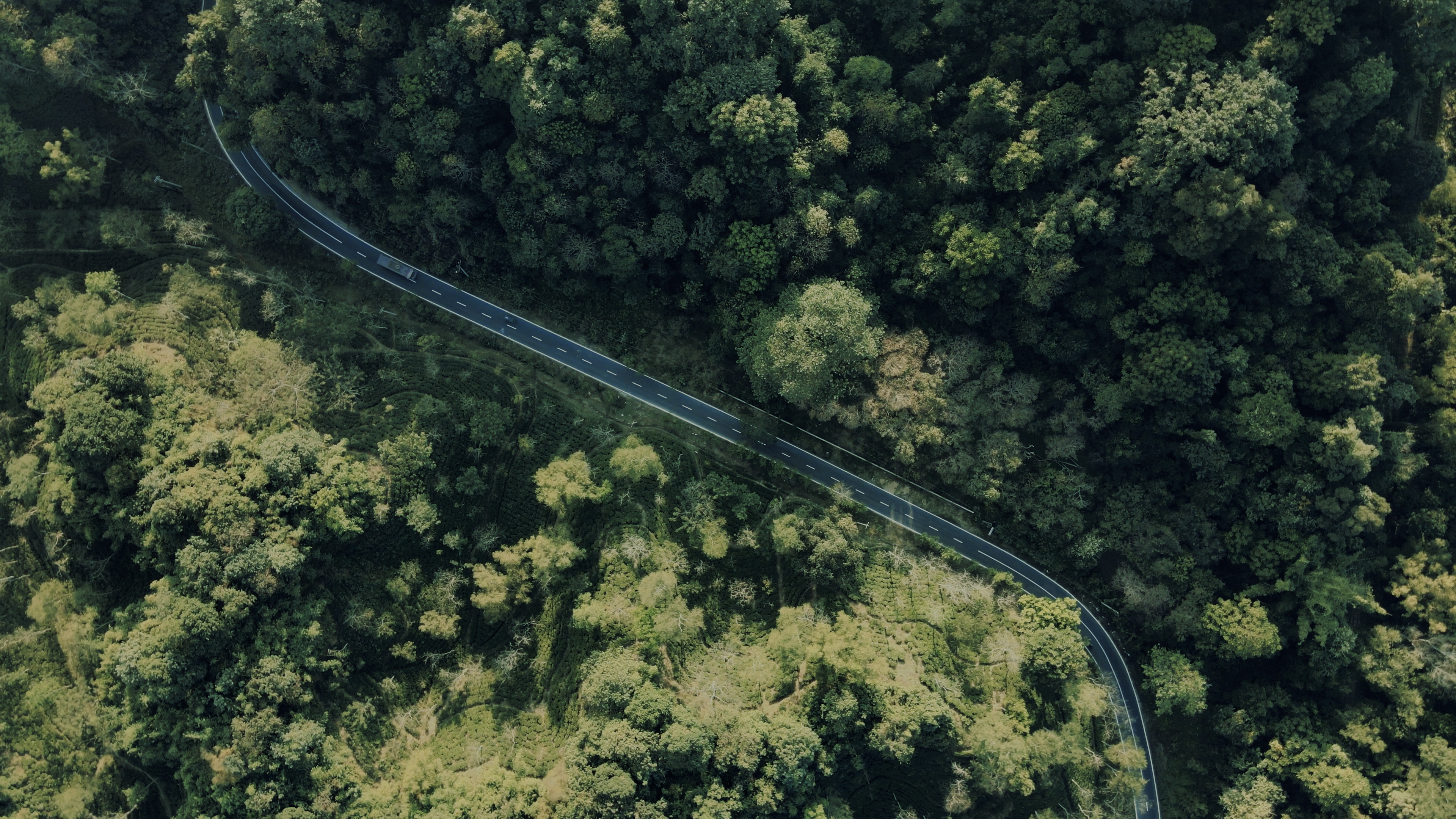 An aerial view of Sreemangal's road cutting through dense, lush green forest.