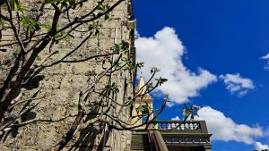Coral stoned wall with a small tree, stairs and pointed tower
