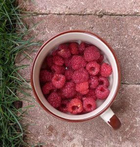 A small ceramic cup filled with fresh red raspberries is placed on a textured surface, surrounded by green grass. The cup has a light-colored interior and a brown rim, showcasing the vibrant, plump berries inside.