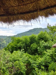A view of lush green foliage and rolling hills under a partly cloudy sky, framed by the edge of a thatched roof in the foreground. 