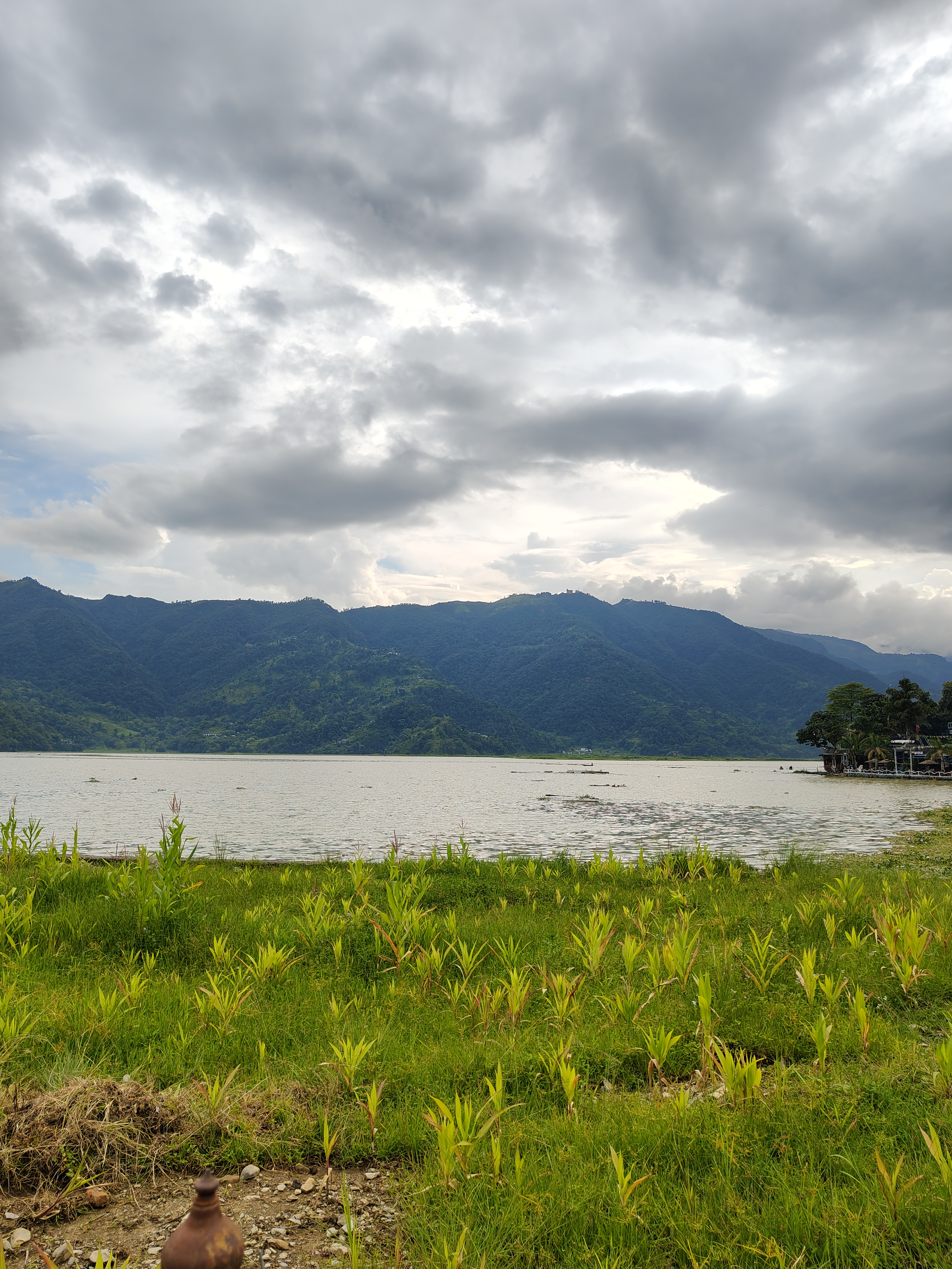 A serene landscape featuring a lake surrounded by green grass and plants in the foreground.