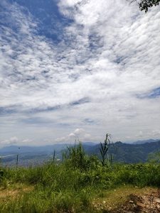 A scenic view from a hilltop, featuring lush green grass and tall plants in the foreground.