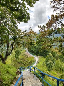 A winding stone staircase lined with blue railings leads down a lush green hillside, surrounded by trees and foliage.
