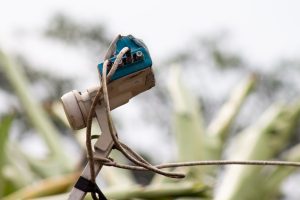 Close-up of a blue and white LNB receiver on a satellite dish.
