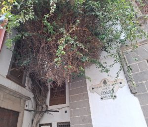 Historical building where Christopher Columbus used to pray. The building has a tree in front of it, in which the leaves cover part of the front wall.