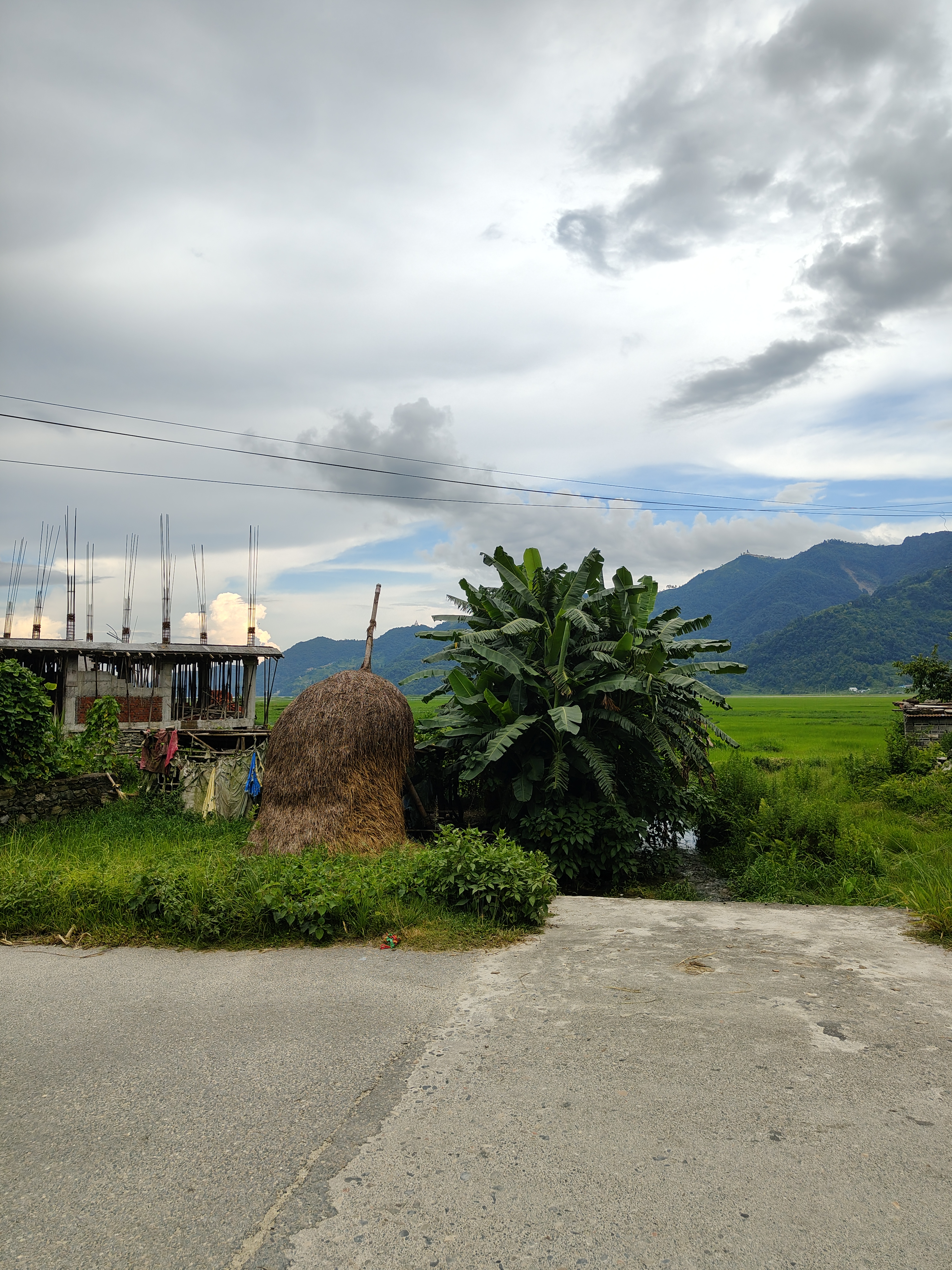 A rural scene featuring a dirt road leading into lush greenery.
