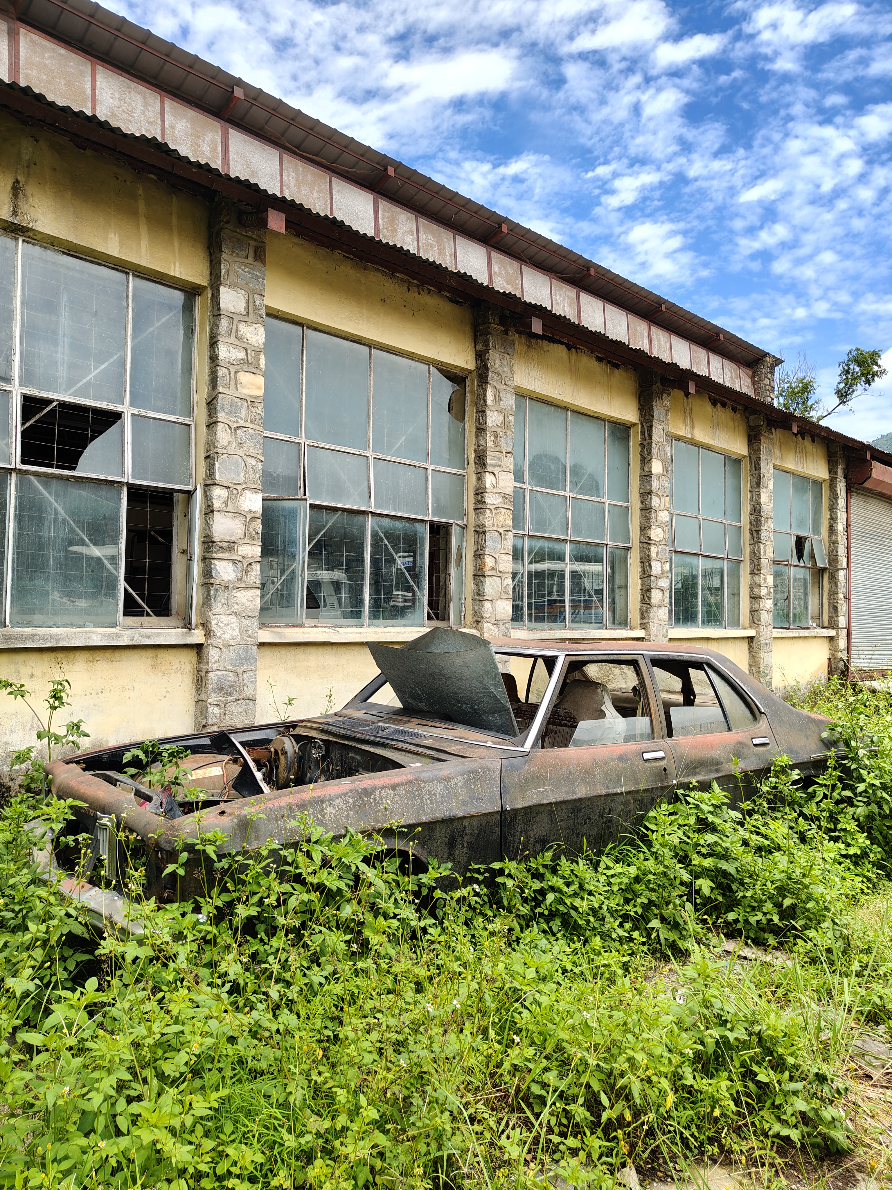 An abandoned, rusting car is partially covered by overgrown vegetation in front of a dilapidated building with large, broken windows.
