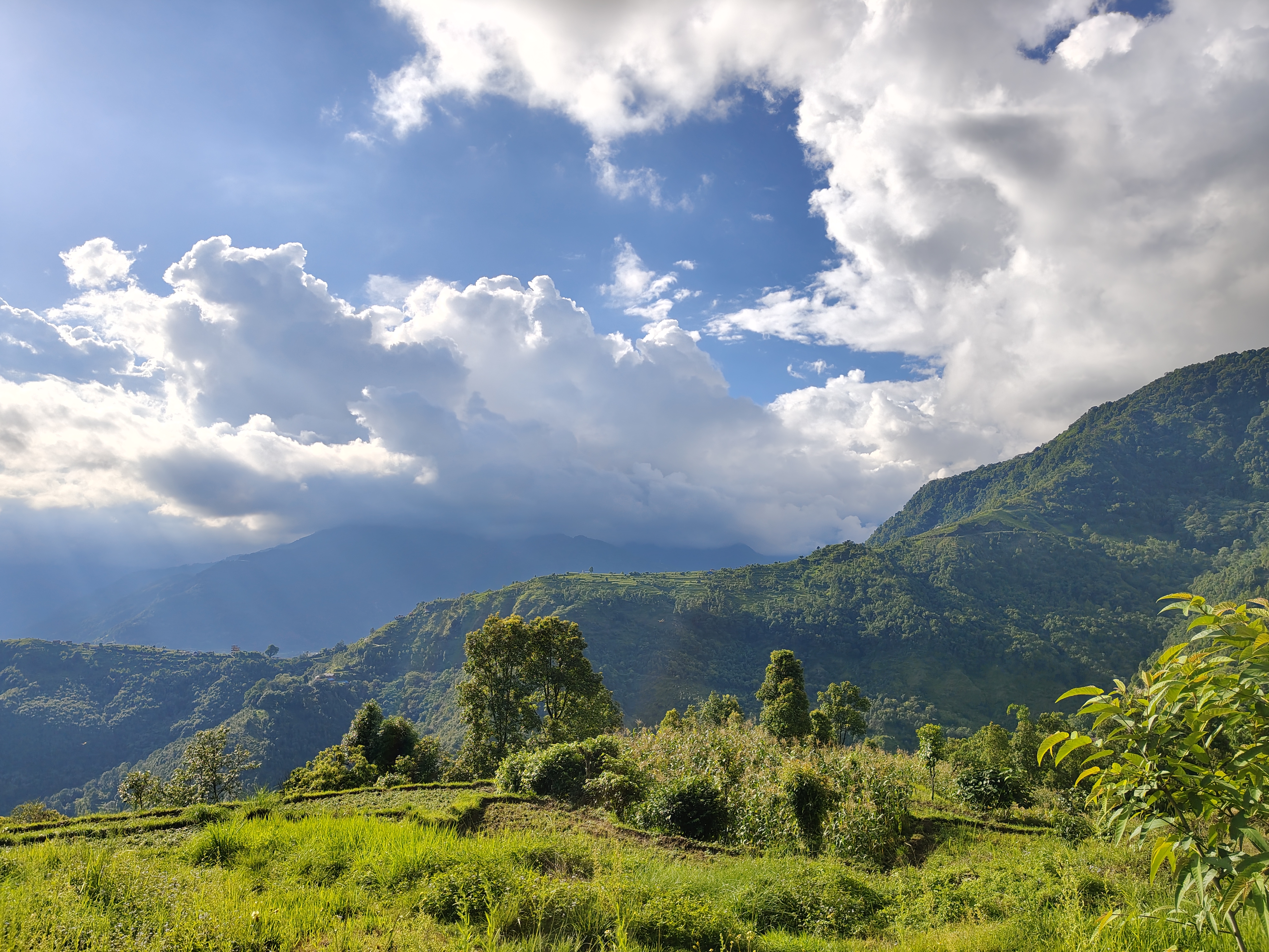 A scenic view of rolling green hills under a bright blue sky, featuring fluffy white clouds