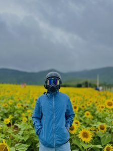 A man wearing a motorcycle helmet stands in front of a sunflower field.