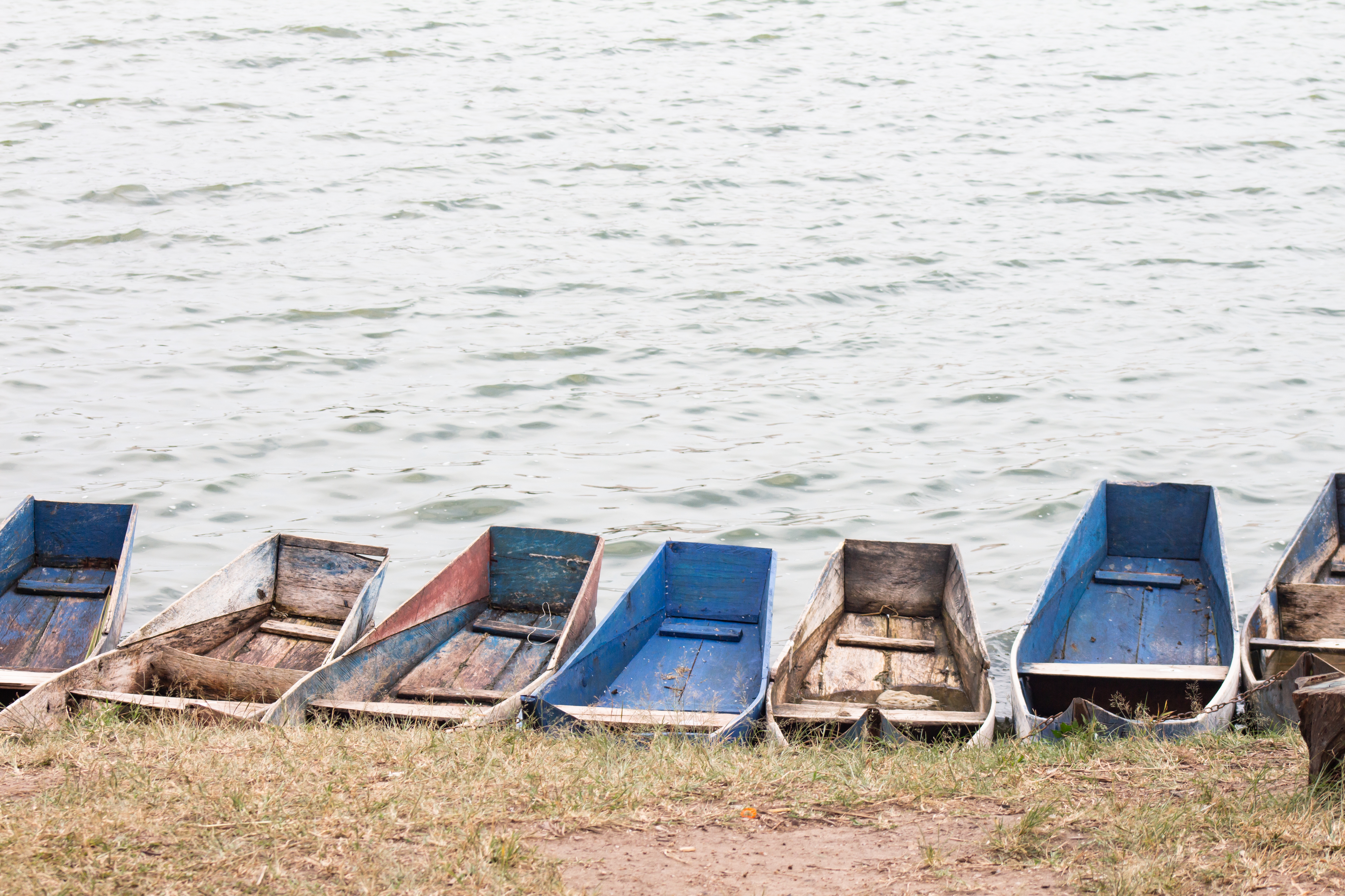 A row of small, fishing boats boats in various shades of blue and red, partially resting on a grassy bank next to a calm body of water