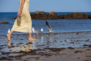A woman in a light yellow dress walks barefoot along a beach, holding a sandal in one hand. Several seagulls are around them, with one bird flapping its wings. The sand is wet, reflecting the sky and the figure's legs, while rocky formations are visible in the background against a calm ocean.