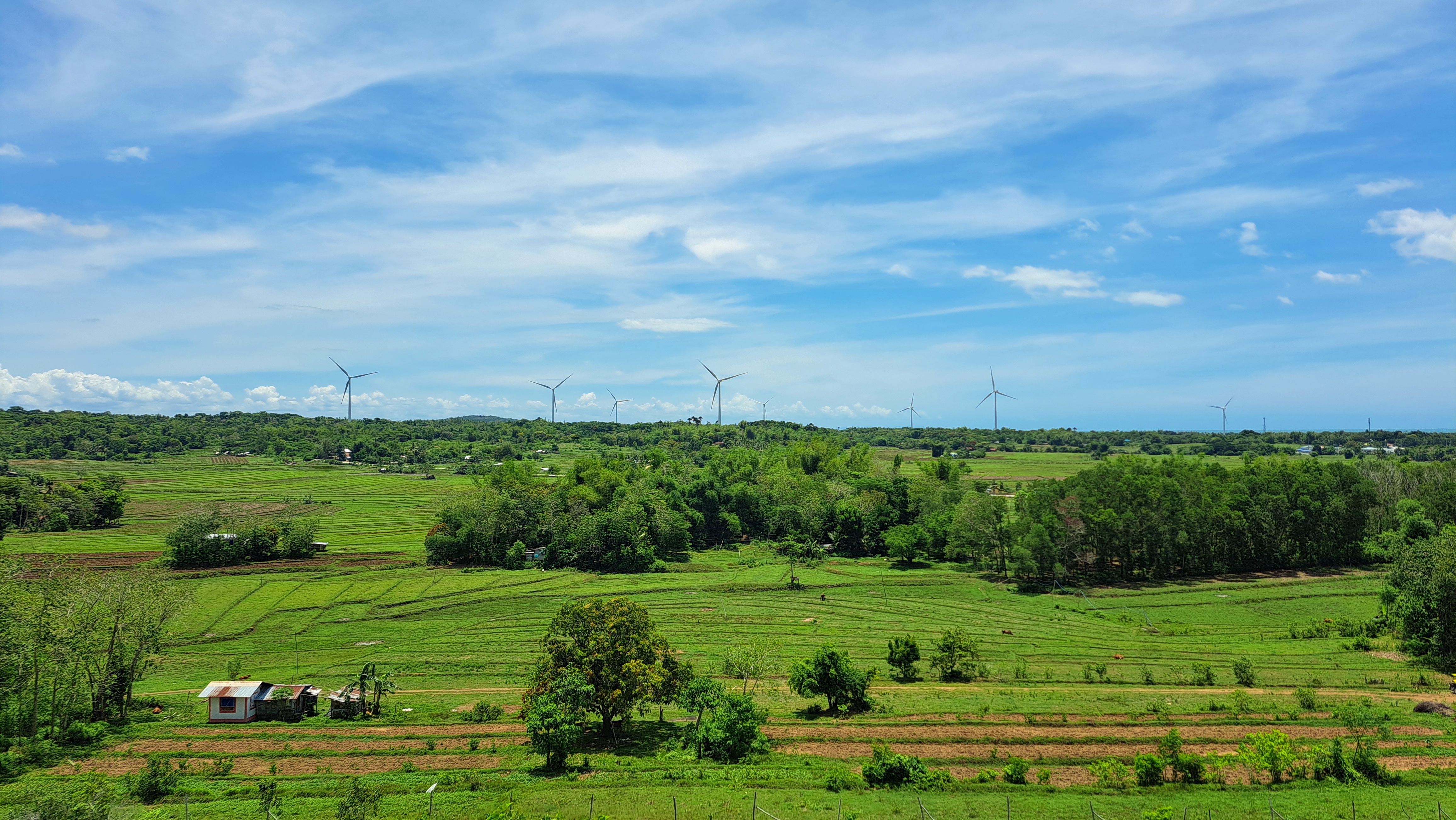 A panoramic view of a lush green landscape featuring rolling fields and scattered trees. In the foreground, there is a small building with a tin roof, surrounded by neatly arranged patches of cultivated land