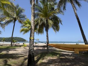 Playa Carrillo, Costa Rica: palm trees and a hammock in the foreground with the water just beyond the sandy beach. There is a bright blue sky above.