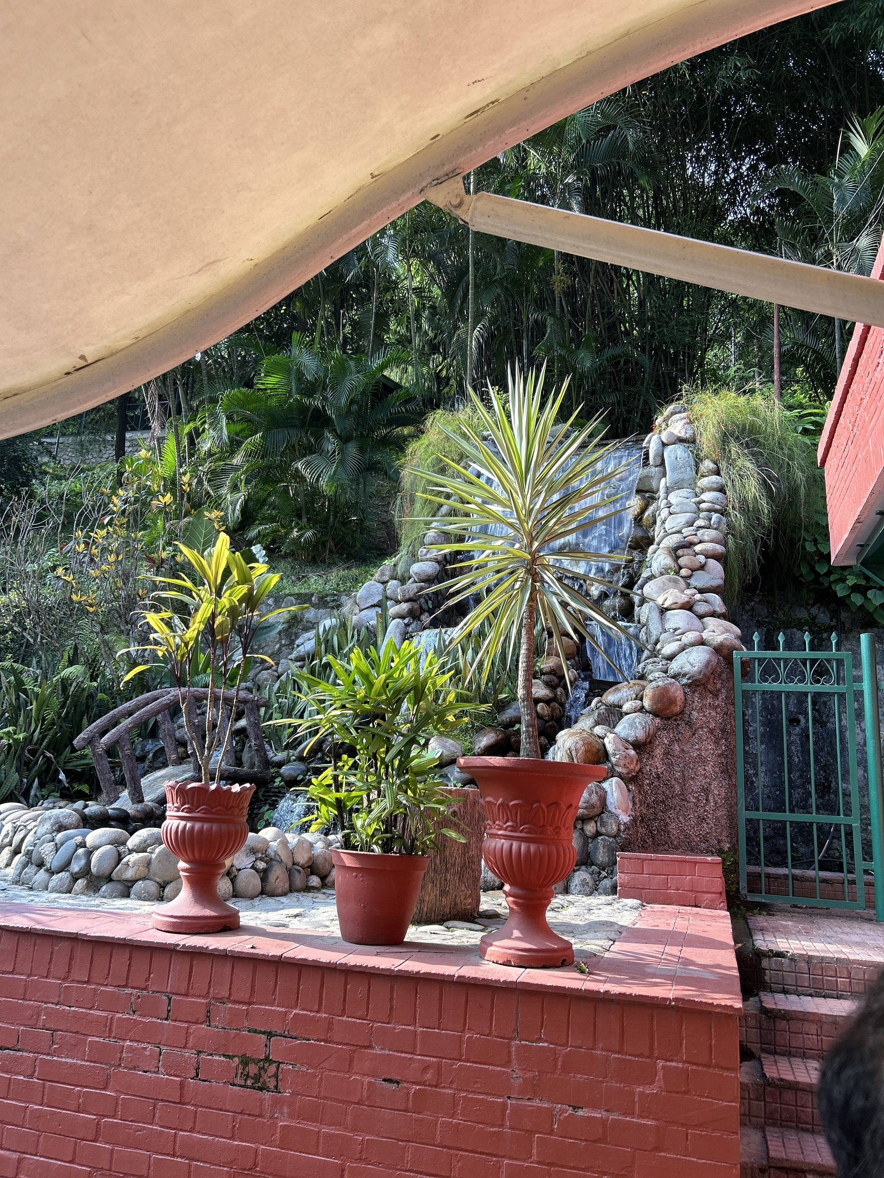 A lush garden scene featuring a cascading stone waterfall surrounded by greenery.