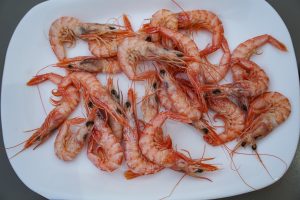 A white plate is filled with a generous serving of cooked, pink shrimp. The shrimp are arranged haphazardly, showcasing their curved bodies and long antennae.