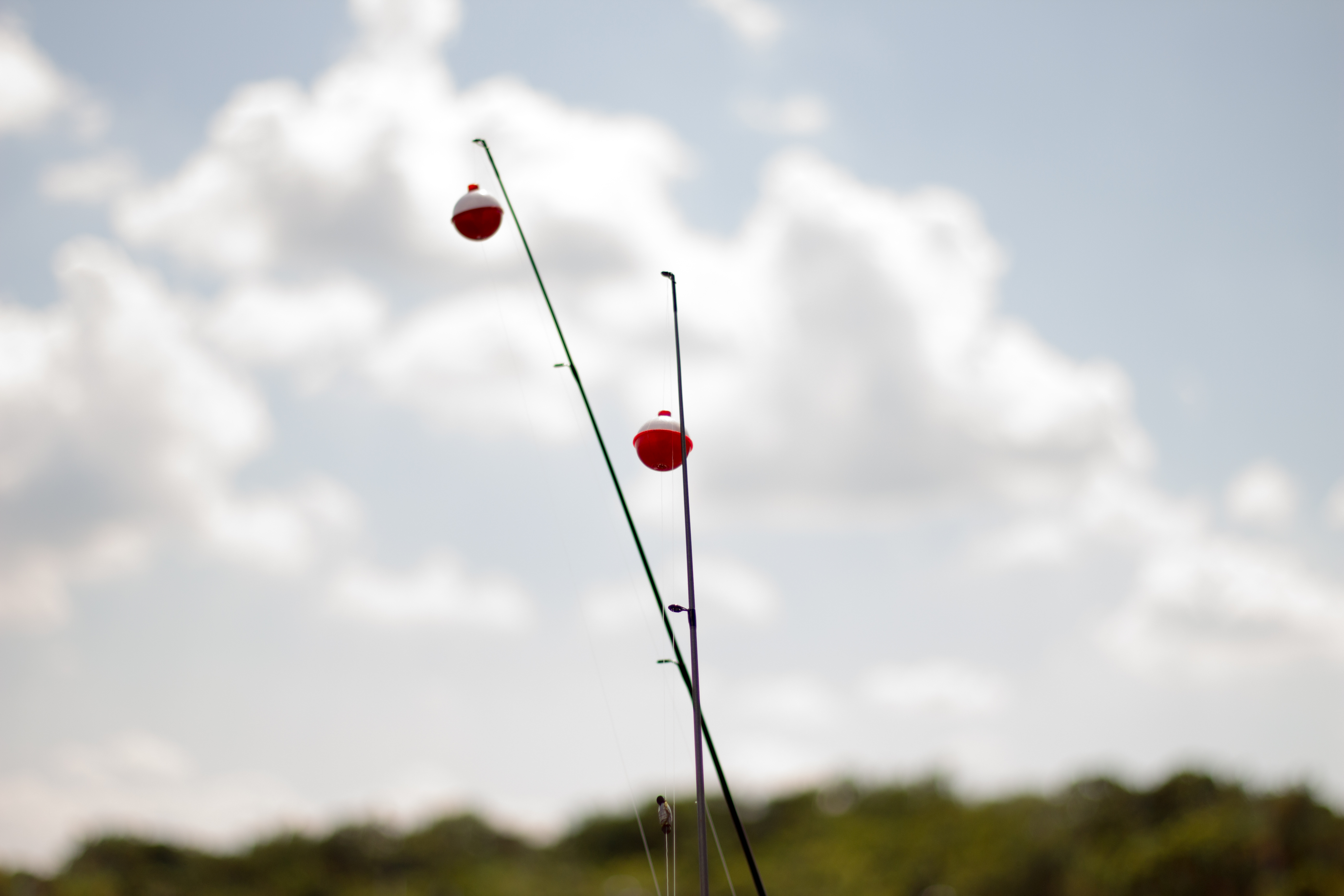 Two fishing rods on a lake dock. Background conains a cloudy white sky.