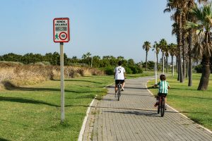 Two children are riding bicycles along a paved path in a park. One boy, wearing a white shirt with the number 5, is ahead of another boy dressed in a green and white striped shirt. Tall palm trees line the path, and a sign indicating a bike lane with a speed limit of 10 is visible on the left.
