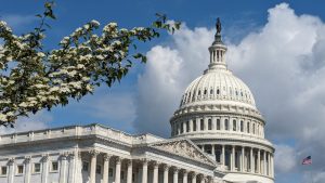 The dome of the United States Capitol building in Washington, DC, set against a bright blue sky. The white stone structure with its tall columns and detailed design stands out clearly in the sunlight, representing one of the most recognizable landmarks of the nation&rsquo;s capital.
