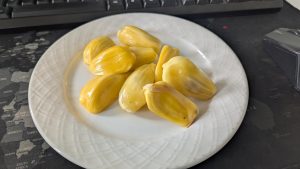Jackfruit bulbs on a white saucer