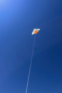 A triangular kite with a turtle design, seen from below against a clear blue sky.

