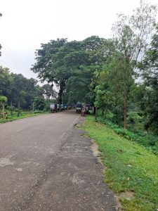 A quiet road bordered by lush greenery and large trees. On one side, there are a few parked vehicles, while a motorcycle is positioned nearby. The lane appears to be asphalt with uneven patches, and the sky overhead is overcast, suggesting a cloudy day. 