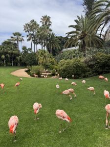 A lush tropical garden with tall palm trees and dense greenery surrounds a pond, while a flock of pink flamingos grazes on the vibrant green grass under a cloudy sky.