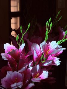 Artificial pink flowers with sunlight 