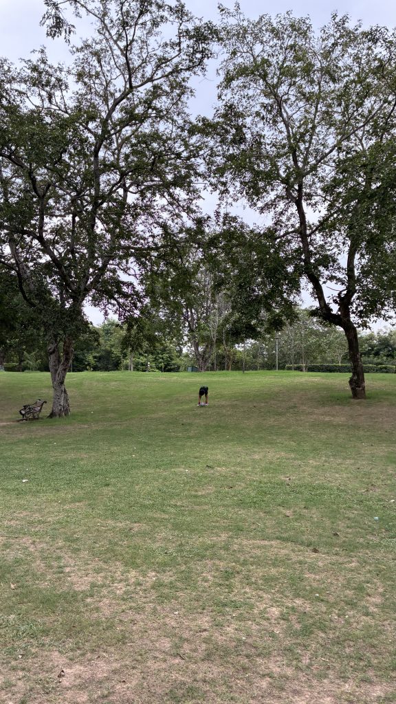 A grassy park area with several trees, a bench on the left side, and a person in the distance bending down, possibly picking something up. The sky is overcast, and the landscape is well-maintained with patches of grass and some foliage in the background.